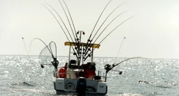 Upptäck allt om trollingbåt för lyckade fisketurer