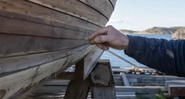 Röta i träbåt: hitta, bedöma och laga rötskador